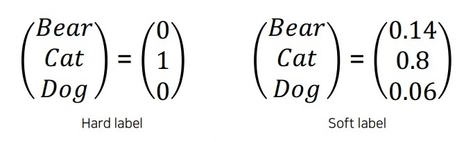 Exemple d'étiquettes souples (Soft Labels) montrant des probabilités nuancées