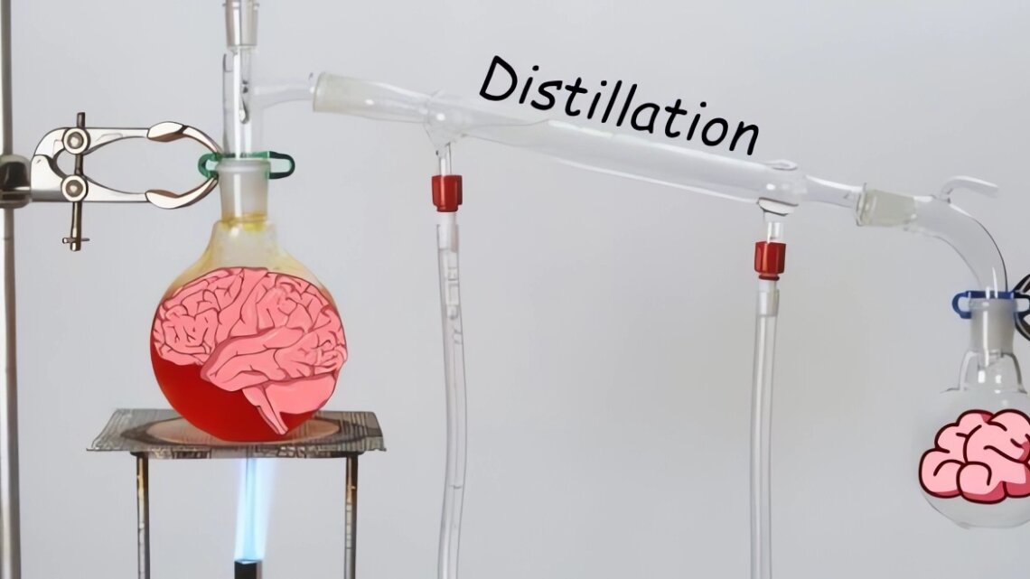 AI Model Distillation : how to compress a brain?