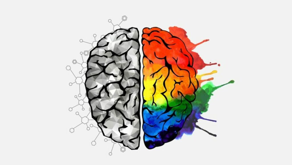 Representation of the two kinds of cognition : logical/orderly and exploratory/chaotic